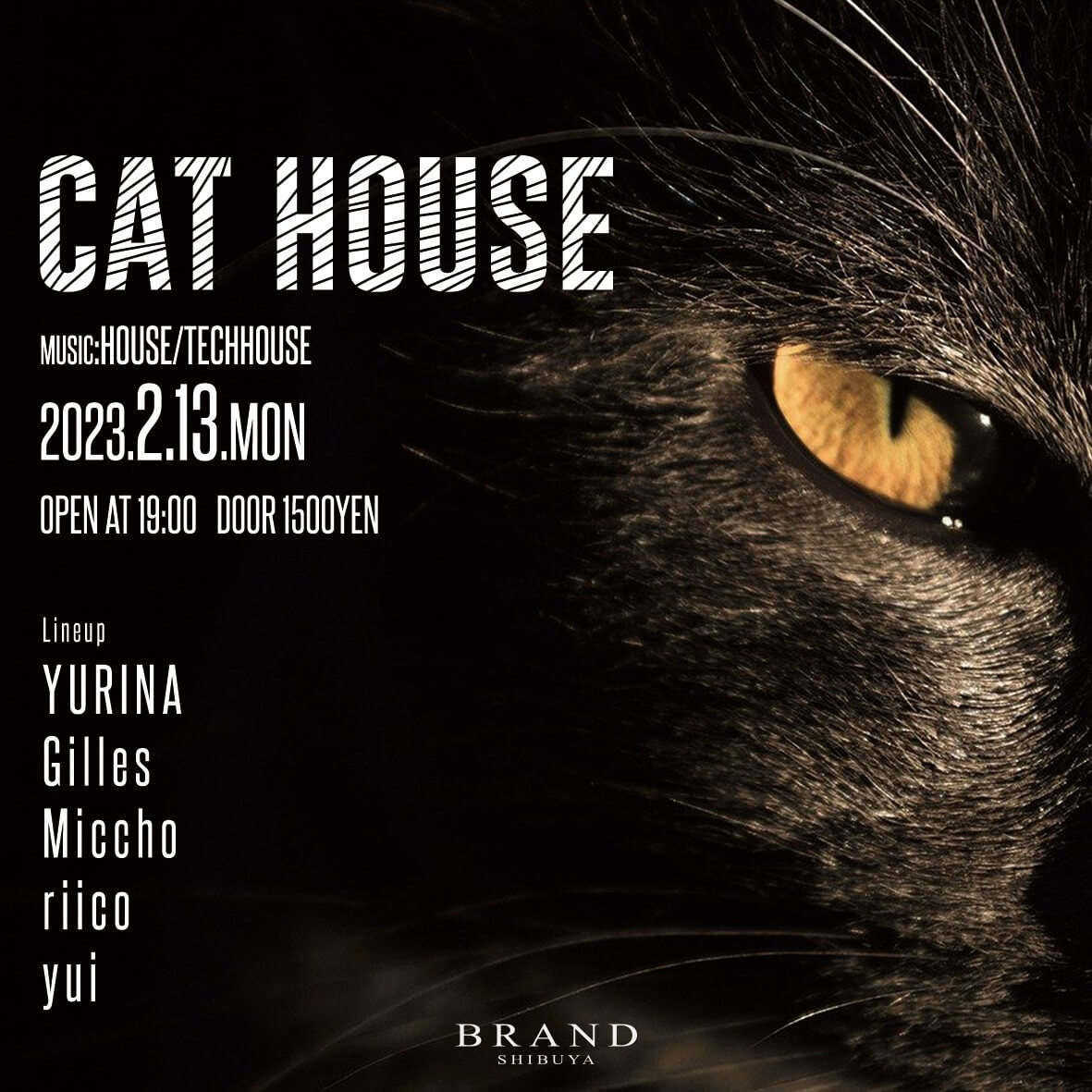 CAT HOUSE 2023年02月13日(月曜日)に渋谷 クラブのBRAND SHIBUYAで開催されるHOUSEイベント