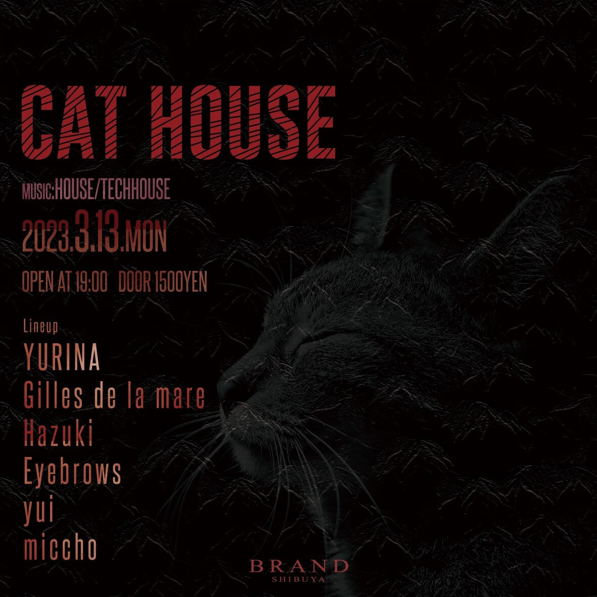 CAT HOUSE 2023年03月13日(月曜日)に渋谷 クラブのBRAND SHIBUYAで開催されるHOUSEイベント