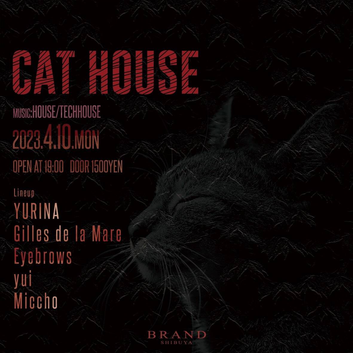 CAT HOUSE 2023年04月10日(月曜日)に渋谷 クラブのBRAND SHIBUYAで開催されるHOUSEイベント