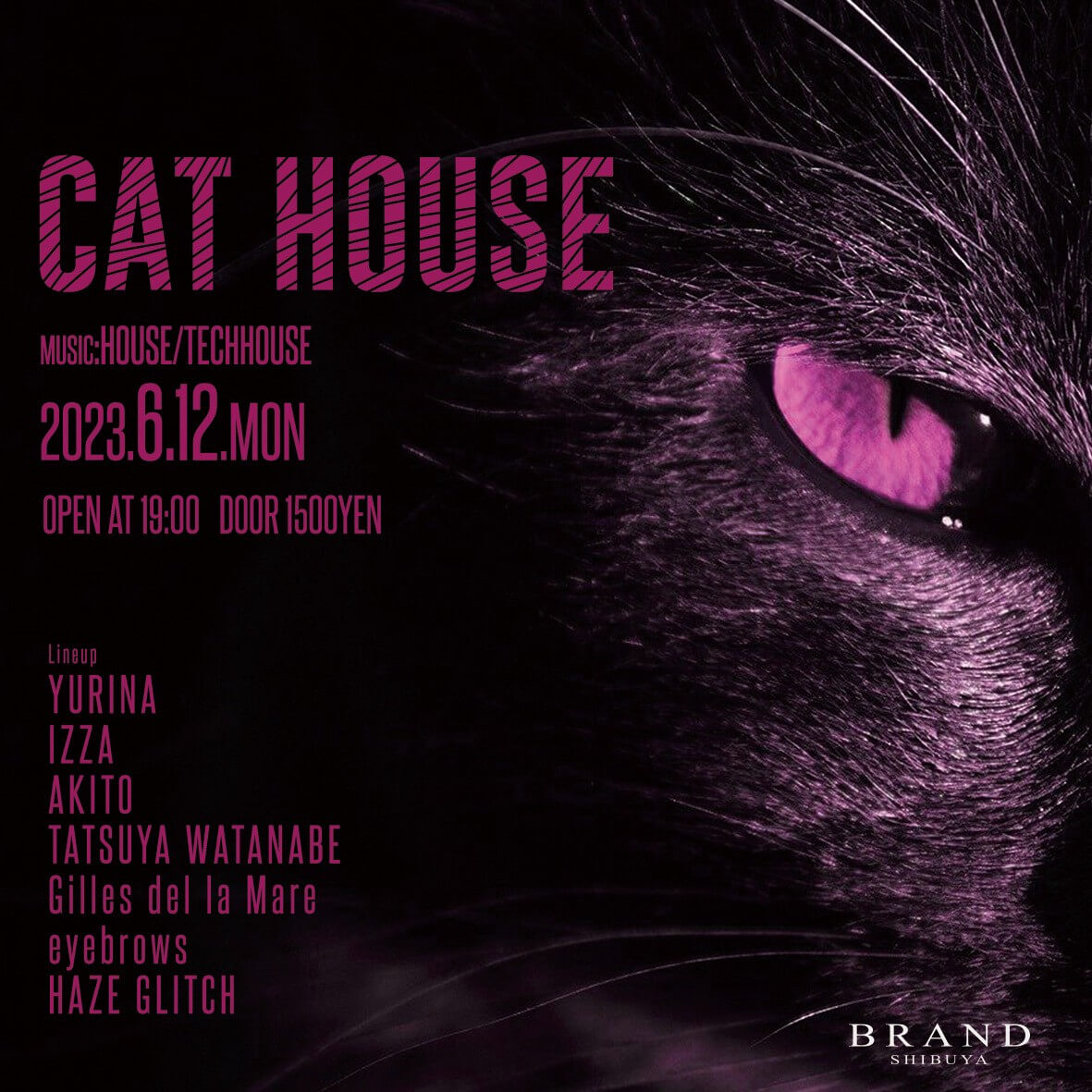 CAT HOUSE 2023年06月12日(月曜日)に渋谷 クラブのBRAND SHIBUYAで開催されるHOUSEイベント