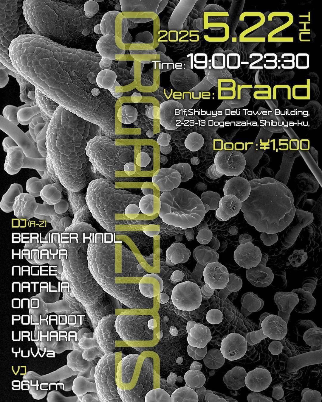 ORGANIZMS 2025年05月22日（木曜日）に渋谷 クラブのBRAND SHIBUYAで開催されるALL MIXイベント